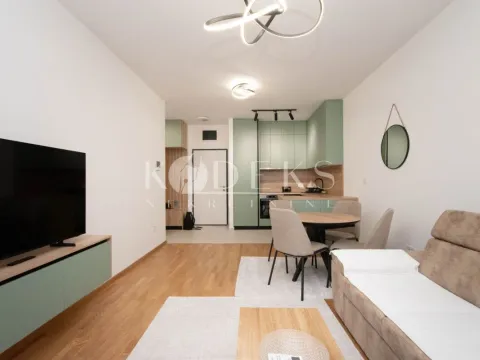 Rent, one bedroom apartment, 48m², Stari Aerodrom, Podgorica - image 1