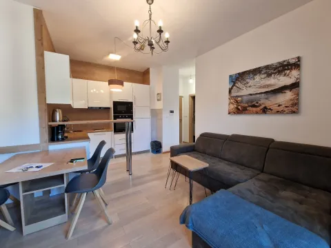 Izdavanje, jednosoban stan, 43m², Bečići, Budva - image 2
