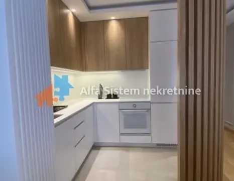 Izdavanje, dvosoban stan, 45m², Južni Bulevar, Vračar Sve Podlokacije - image 5