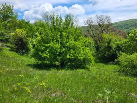 Sale, land lot, 160000m², Nikšić, Crna Gora - image 2