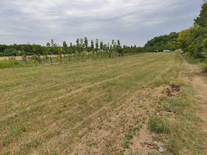 Prodaja, plac, 2300m², Beočin, Srbija
