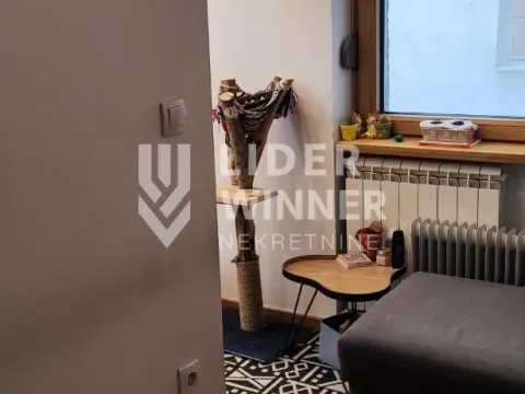 Prodaja, stan, 15m², Stari Grad, Beograd - image 19