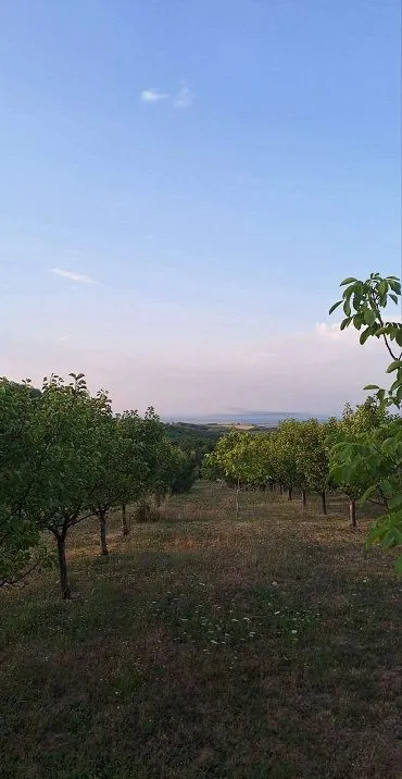 Prodaja, plac, 11894m², Banja Vrdnik, Irig