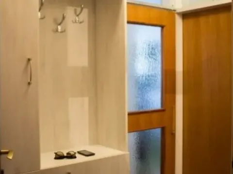 Izdavanje, jednosoban stan, 50m², Stari Aerodrom, Podgorica - image 11