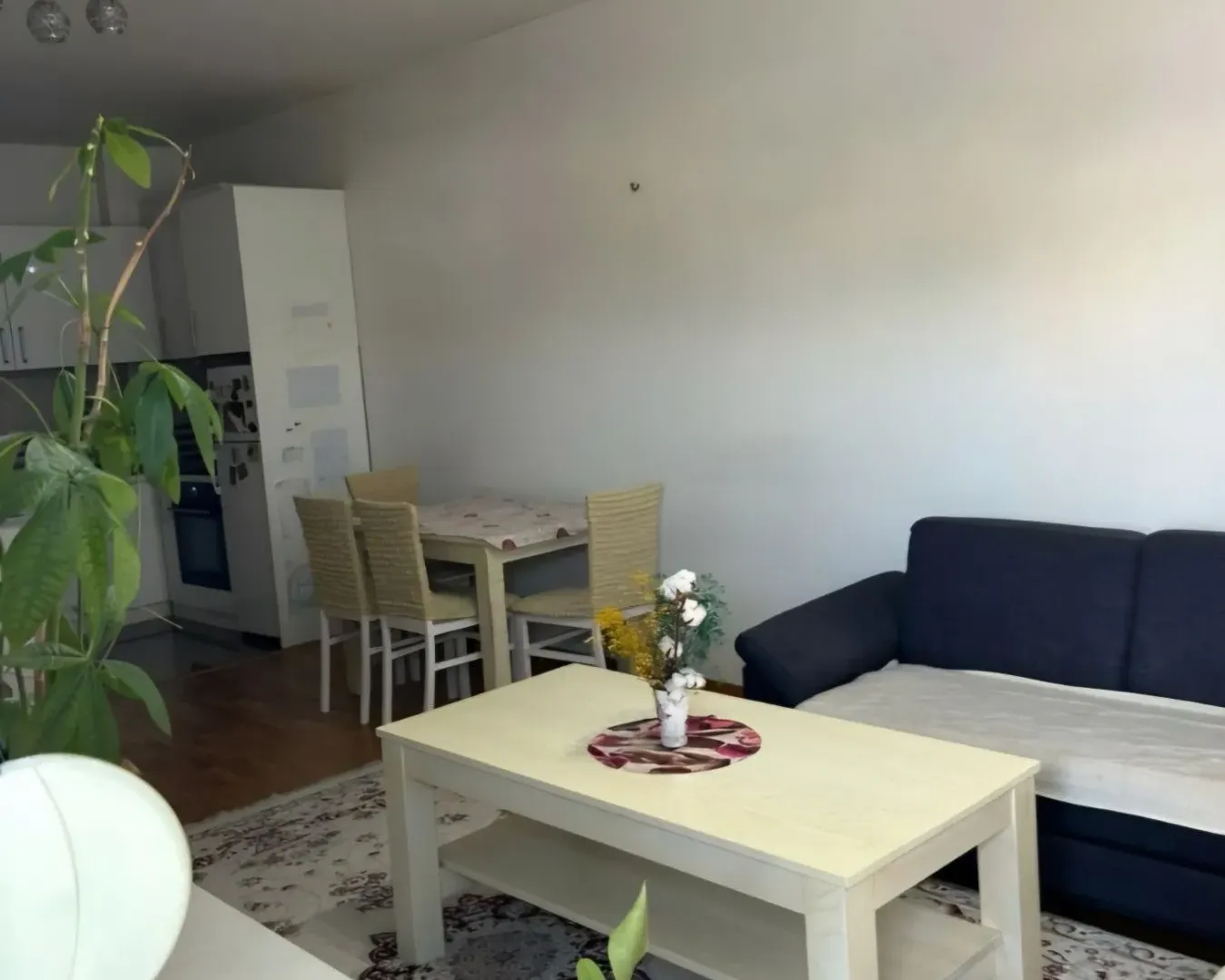 Rent, one bedroom apartment, 48m², Stari Aerodrom, Podgorica