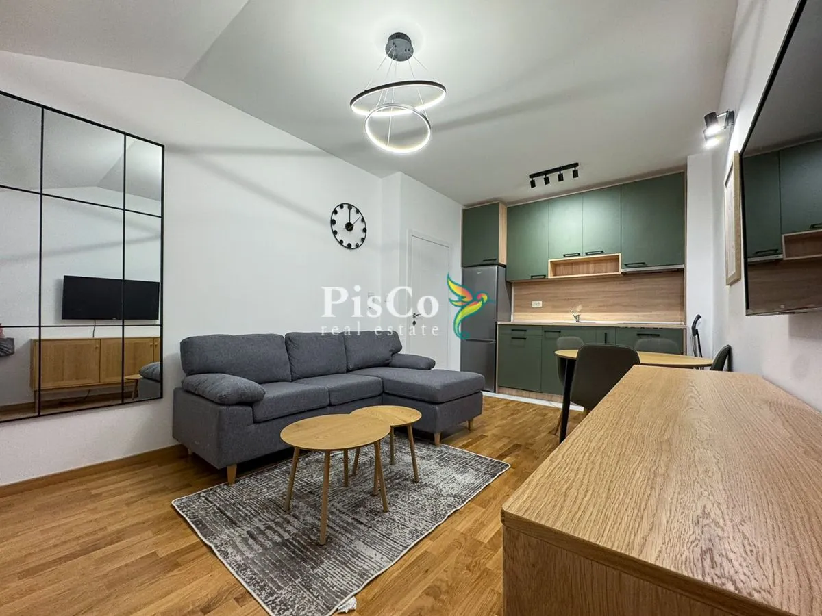 Rent, one bedroom apartment, 46m², Zagorič, Podgorica