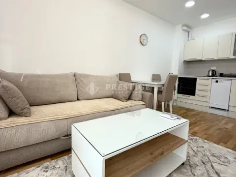 Rent, one bedroom apartment, 40m², Zabjelo, Podgorica - image 3