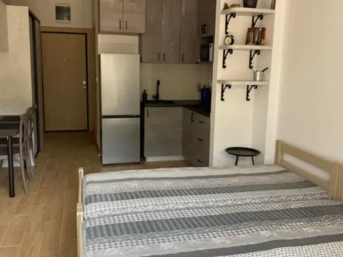 Sale, studio apartment, 30m², Golubovina, Budva - image 8