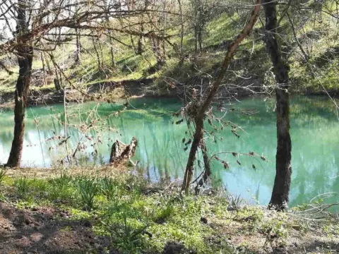 Prodaja, plac, 9609m², Danilovgrad, Crna Gora - image 2