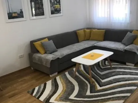 Rent, one bedroom apartment, 43m², Zagorič, Podgorica - image 3