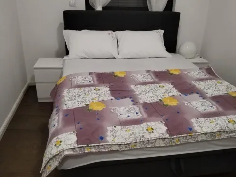 Rent, two bedroom apartment, 77m², Južni Bulevar, Vračar Sve Podlokacije - image 5