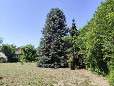 Sale, house, 160m², Novo Selo, Subotica - image 6