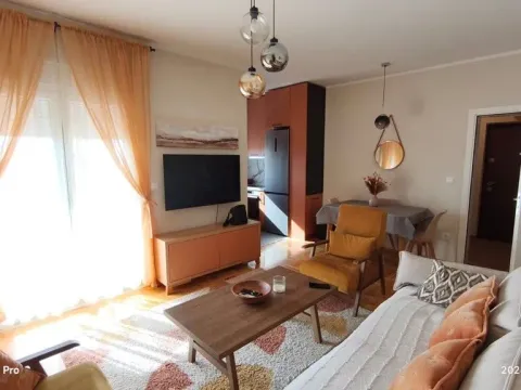 Rent, one bedroom apartment, 50m², Zabjelo, Podgorica - image 1