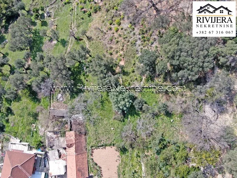 Prodaja, plac, 984m², Đenovići, Herceg Novi