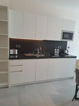 Modern kitchen with white cabinets, a black countertop, and dark wall tiles. - image 6