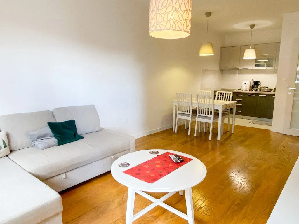 Rent, one bedroom apartment, 49m², Central Point, Podgorica