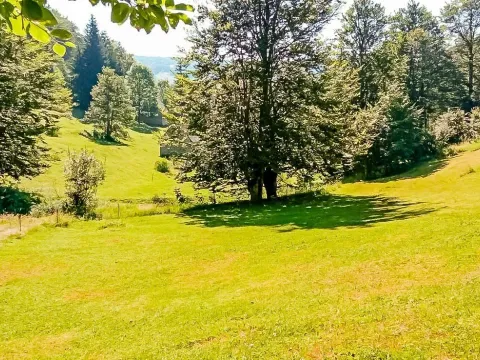 Prodaja, plac, 43000m², Šavnik, Crna Gora - image 8