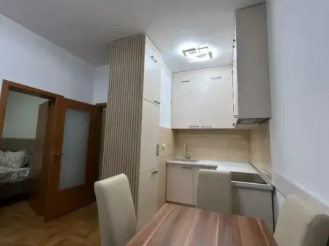 Izdavanje, jednosoban stan, 45m², Tuški Put, Podgorica - image 3