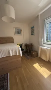 Rent, two bedroom apartment, 59m², Stari Merkator, Novi Beograd Sve Podlokacije - image 6