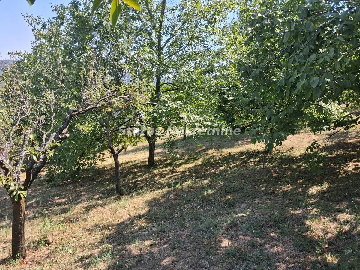 Prodaja, kuća, 30m², Ledinci, Petrovaradin