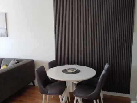 Izdavanje, jednosoban stan, 47m², Central Point, Podgorica - image 6