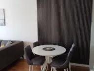 Izdavanje, jednosoban stan, 47m², Central Point, Podgorica - image 6