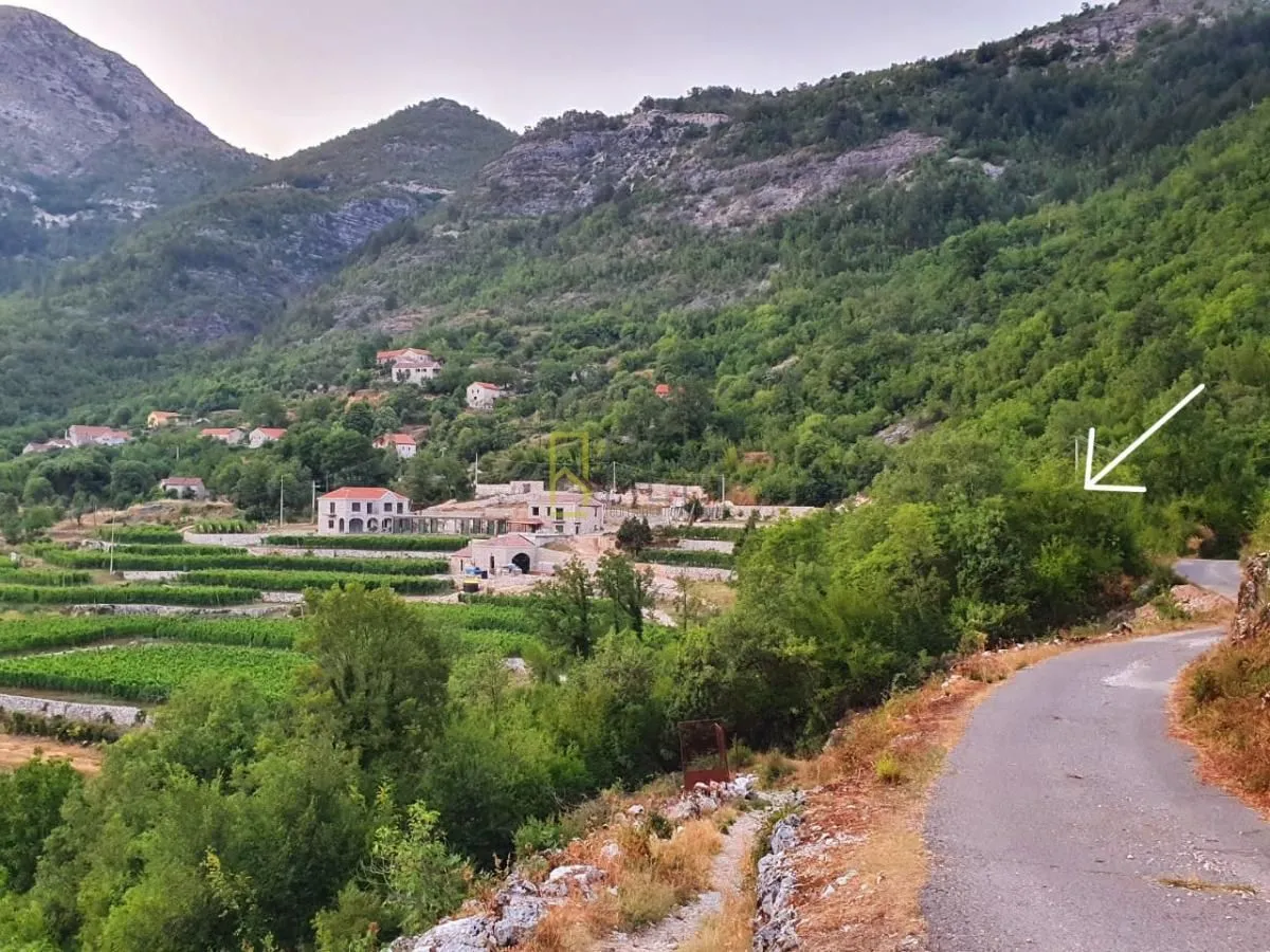 Prodaja, plac, 7800m², Dobrsko Selo, Cetinje