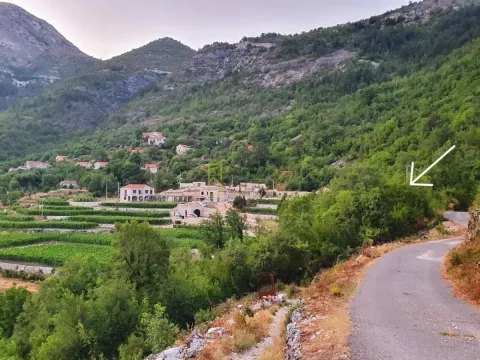 Sale, land lot, 7800m², Dobrsko Selo, Cetinje - image 2