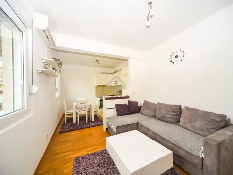 Rent, one bedroom apartment, 45m², Stari Aerodrom, Podgorica - image 3