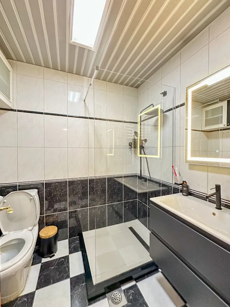 Modernly equipped bathroom with a walk-in shower, washbasin, and toilet.