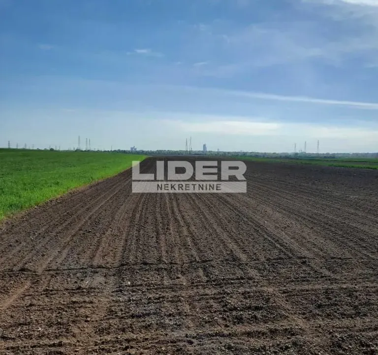 Prodaja, plac, 5000m², Radiofar, Surčin