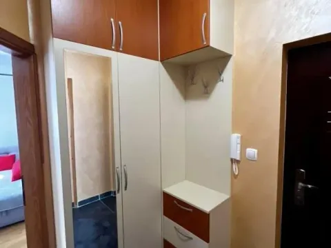 Rent, apartment, 33m², Zabjelo, Podgorica - image 6