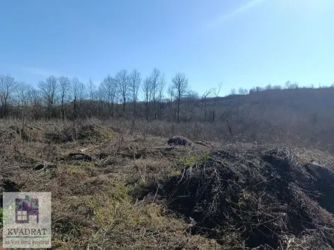 Sale, land lot, 3100m², Mala Moštanica, Obrenovac - image 2