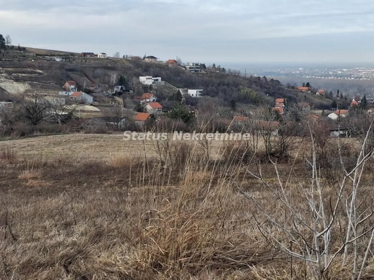 Prodaja, plac, 14994m², Ledinci, Petrovaradin