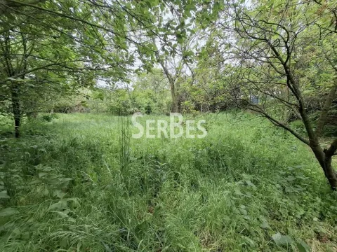 Prodaja, plac, 1048m², Čerević, Beočin - image 4