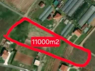 Prodaja, plac, 11000m², Mataguži, Podgorica - image 3