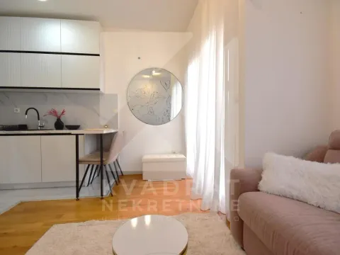 Rent, studio apartment, 24m², Zabjelo, Podgorica - image 2