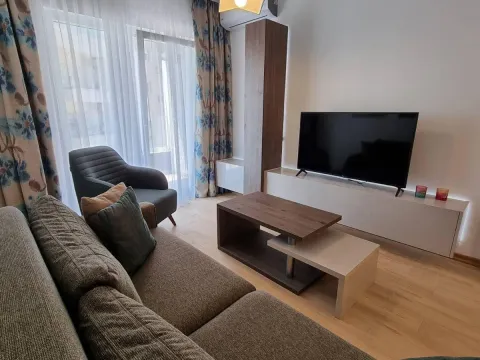 Rent, one bedroom apartment, 46m², Budva okolina, Budva - image 2