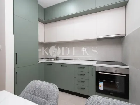 Rent, one bedroom apartment, 41m², Zabjelo, Podgorica - image 4