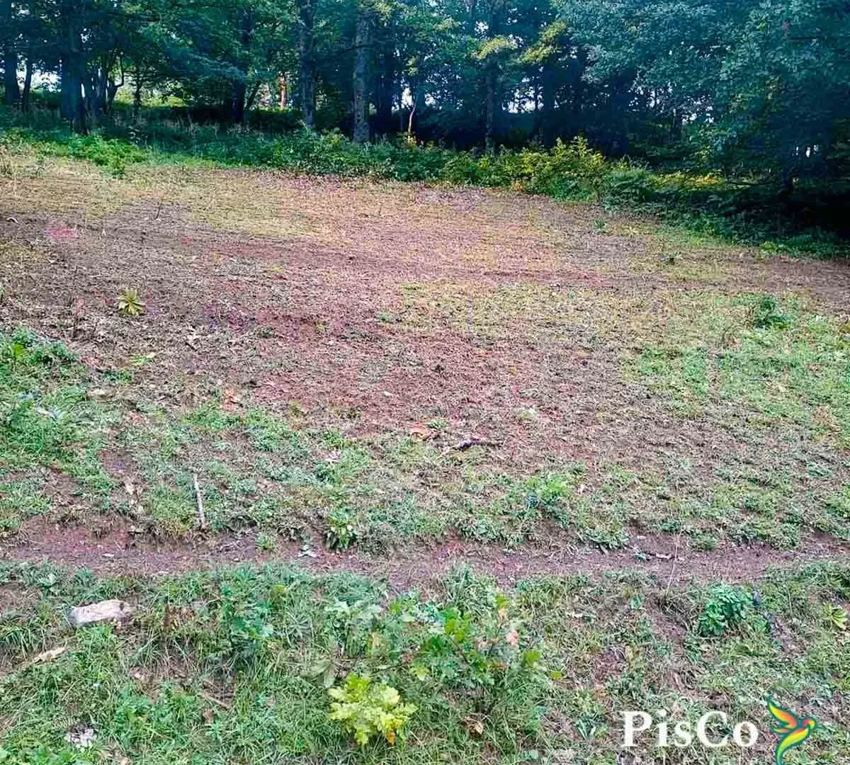 Prodaja, plac, 15000m², Pljevlja, Crna Gora
