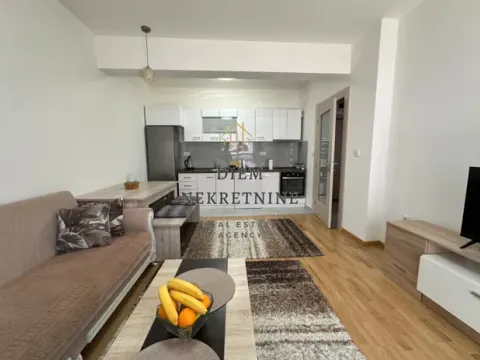 Izdavanje, jednosoban stan, 50m², Stara Varoš, Podgorica - image 7
