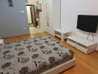 Izdavanje, jednosoban stan, 32m², Liman 3, Novi Sad Sve Podlokacije - image 4