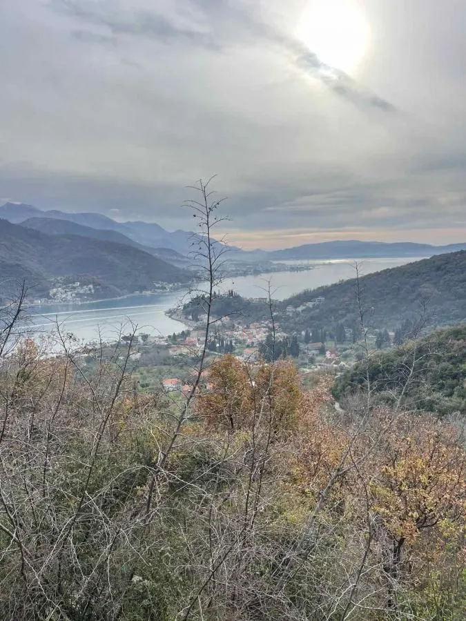 Prodaja, plac, 500m², Jošica, Herceg Novi