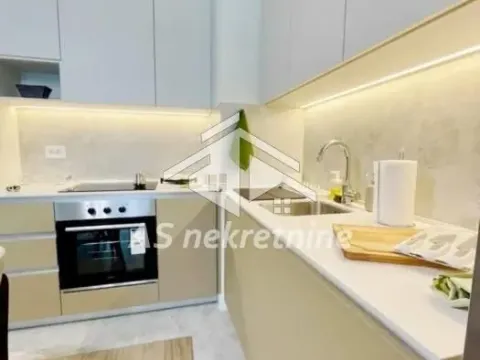 Izdavanje, dvosoban stan, 53m², Savski Venac, Beograd - image 12