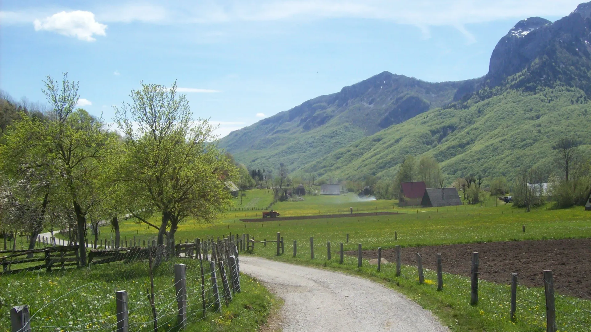 Prodaja, plac, 8124m², Gornje Lipovo, Kolašin