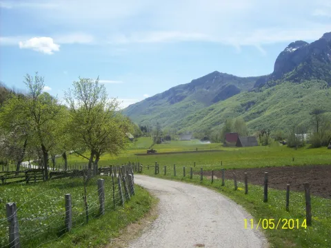 Prodaja, plac, 8124m², Gornje Lipovo, Kolašin - image 5