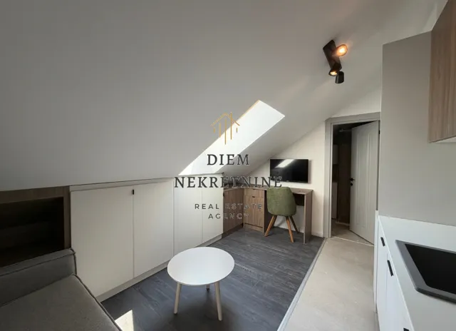 Attic living room with a work corner and built-in closets.