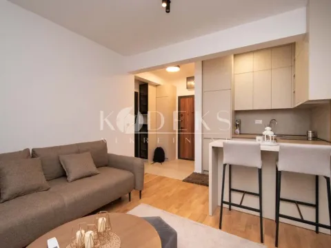 Izdavanje, garsonjera, 26m², Zagorič, Podgorica - image 3