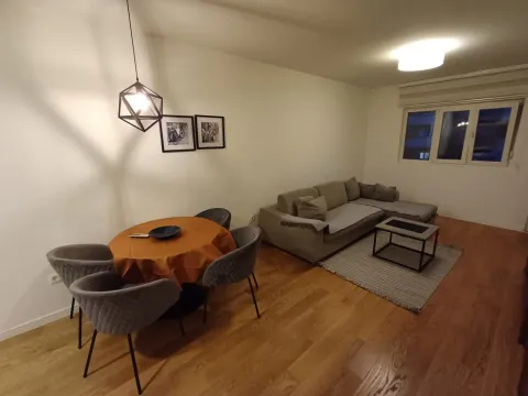 Rent, one bedroom apartment, 49m², Central Point, Podgorica - image 1