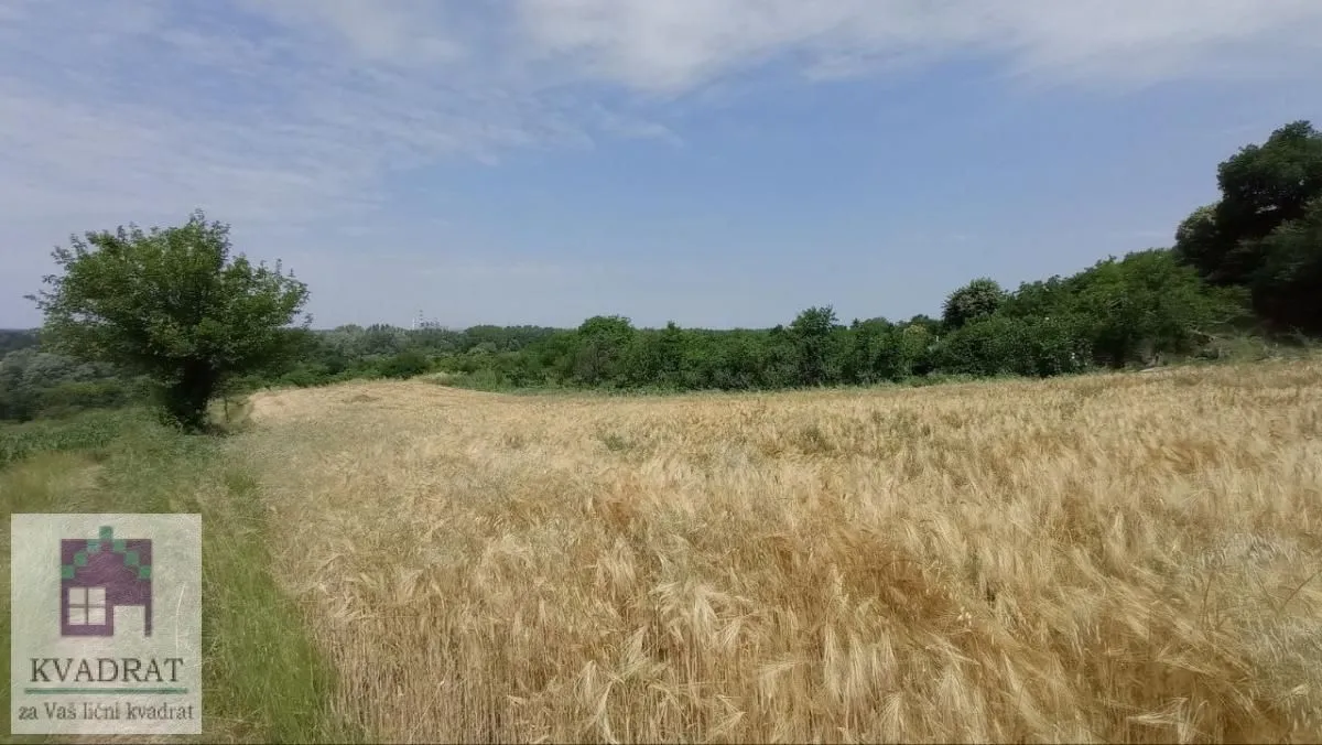 Prodaja, plac, 1900m², Mislodjin, Obrenovac